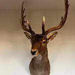 别墅 Wijndomein Joris