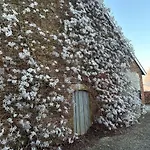 Wijndomein Joris * 斯莱纳肯