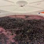 Wijndomein Joris 斯莱纳肯