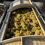 别墅 Wijndomein Joris *