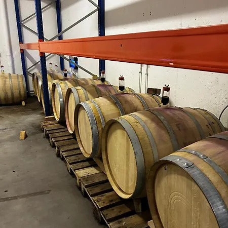 Vila Wijndomein Joris