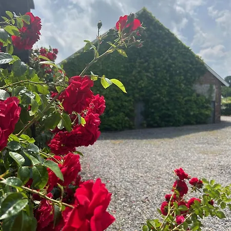 Wijndomein Joris Villa