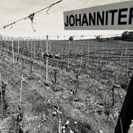 Vila Wijndomein Joris