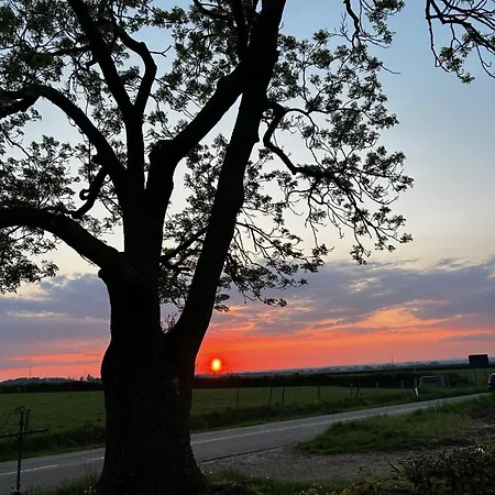 Wijndomein Joris Вилла *