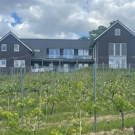 Wijndomein Joris Vila Slenaken