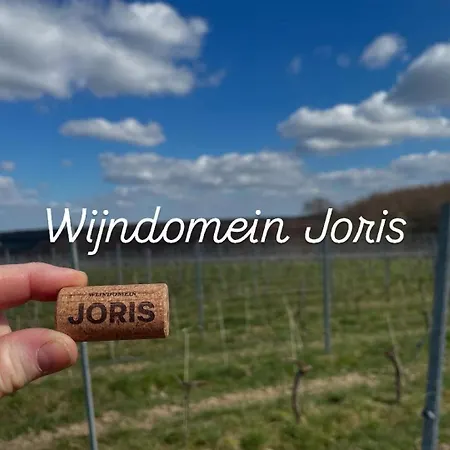 Wijndomein Joris Villa Slenaken