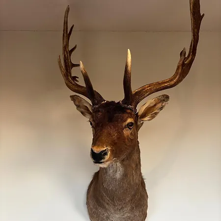 Vila Wijndomein Joris