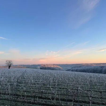 Wijndomein Joris * Slenaken