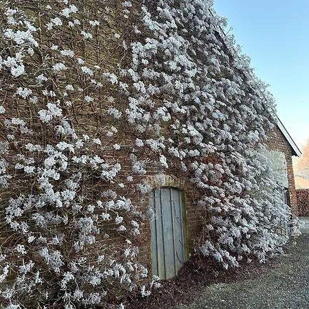 Wijndomein Joris * Slenaken