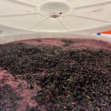 Wijndomein Joris Сленакен