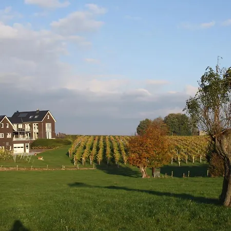 Wijndomein Joris * Сленакен