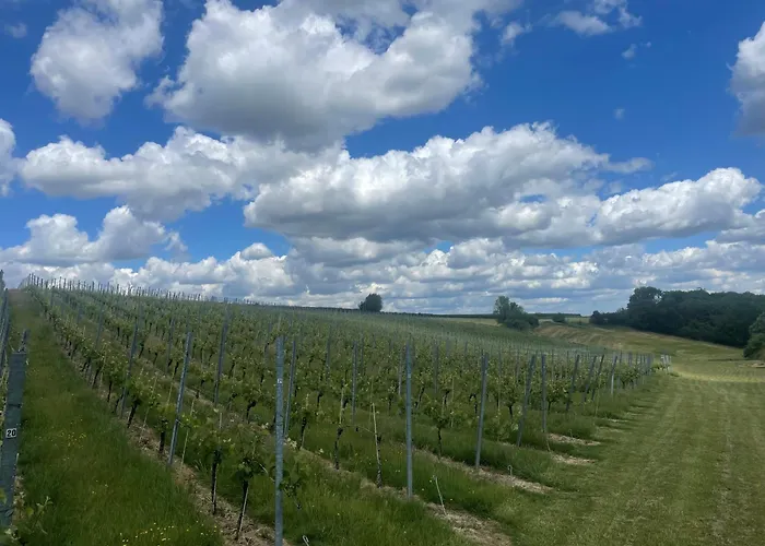 Villa Wijndomein Joris Slenaken