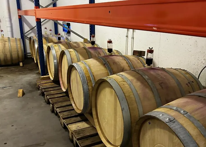 Villa Wijndomein Joris