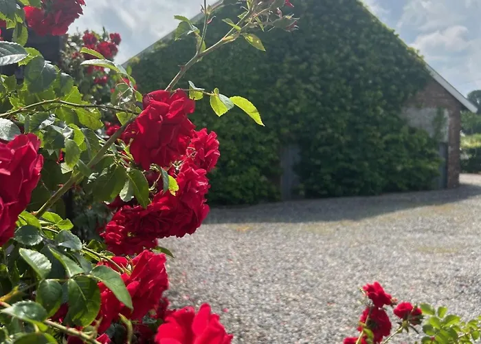 Wijndomein Joris Villa