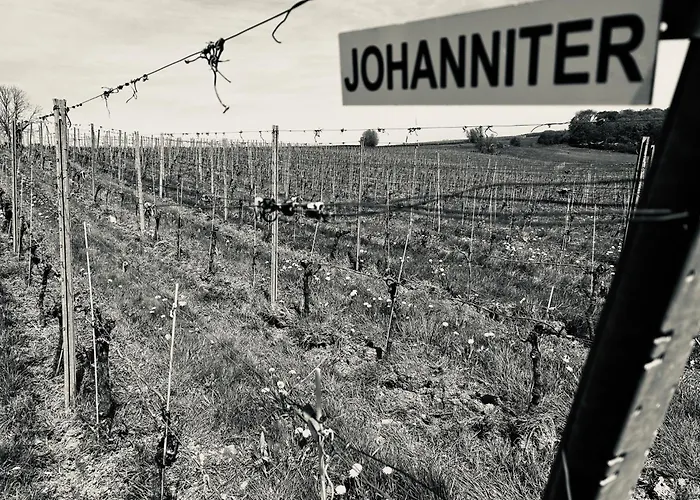 Villa Wijndomein Joris