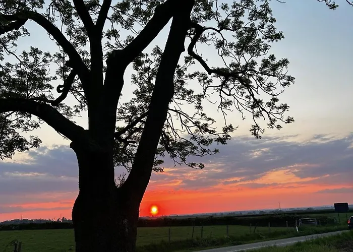 Wijndomein Joris Villa *