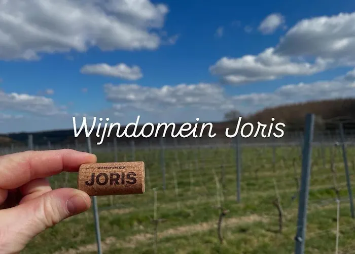 Wijndomein Joris Villa Slenaken