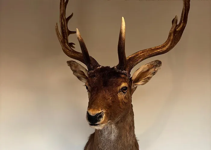 Villa Wijndomein Joris