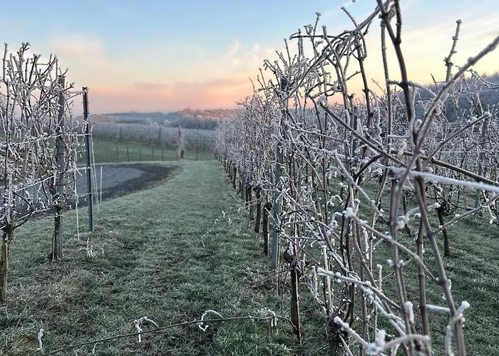 Wijndomein Joris Villa *