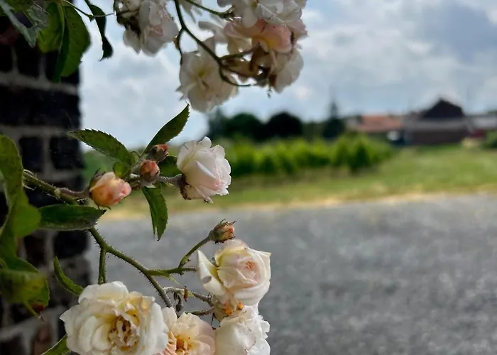 Wijndomein Joris Villa Slenaken