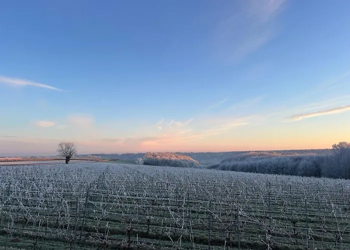 Wijndomein Joris * Slenaken