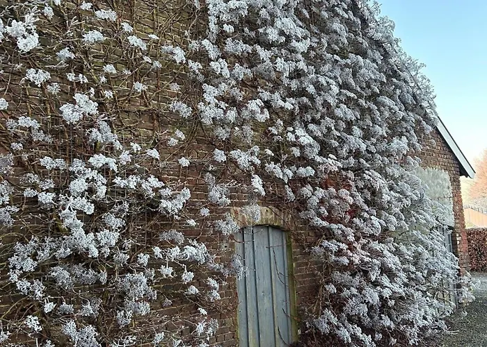 Wijndomein Joris * Slenaken