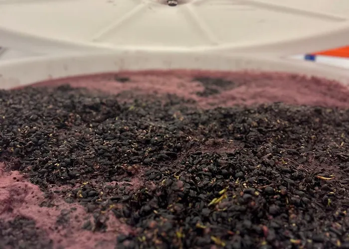 Wijndomein Joris Slenaken