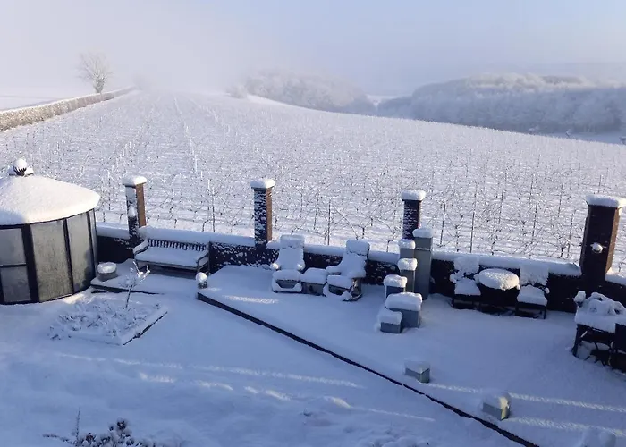 Wijndomein Joris * Slenaken