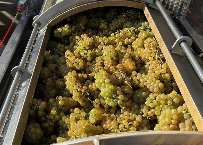 Villa Wijndomein Joris *