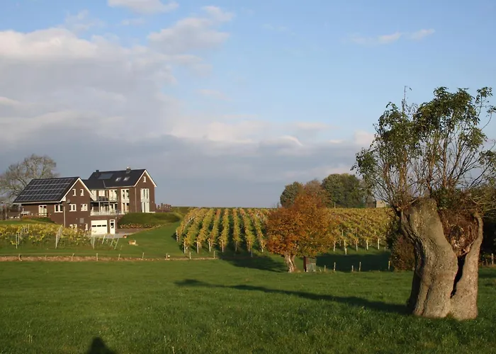 Wijndomein Joris * Slenaken