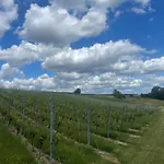 Villa Wijndomein Joris Slenaken