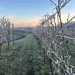 Wijndomein Joris Villa *