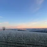 Wijndomein Joris * Slenaken