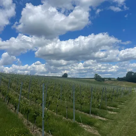 Villa Wijndomein Joris Slenaken