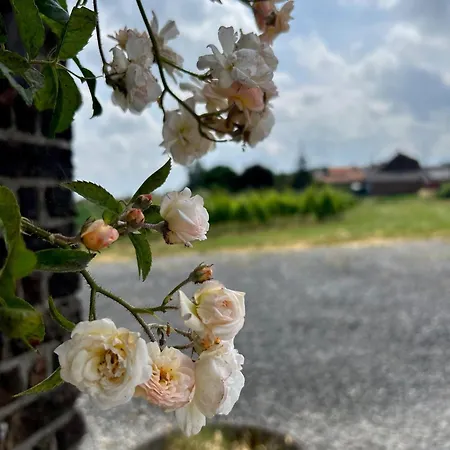Wijndomein Joris Vila Slenaken