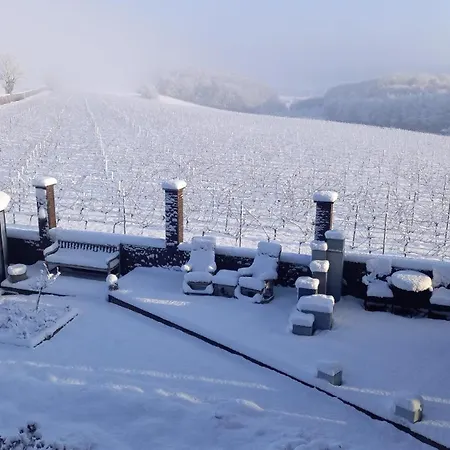 Wijndomein Joris * Slenaken