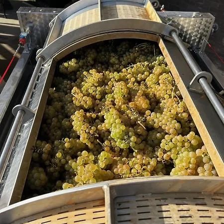 Villa Wijndomein Joris *